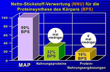 chart 6