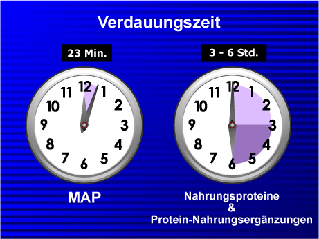 Master Amino Acid Pattern, digested in 23 minutes.